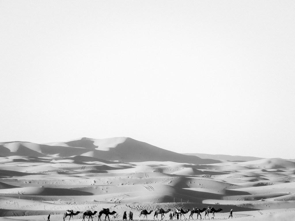 Trekking The Sahara,&nbsp;Morocco