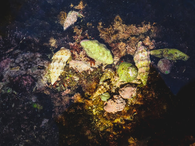 Where to Hike on the Costa Brava Spain