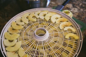 Montana Apple Picking, Apple Picking Blog, Making Apple Chips, Apple Picking In Our Own Backyard