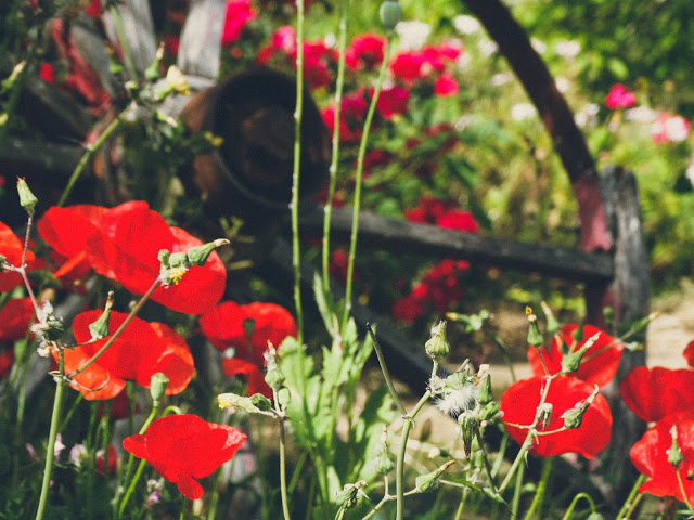 Algarve Portugal Travel Blog