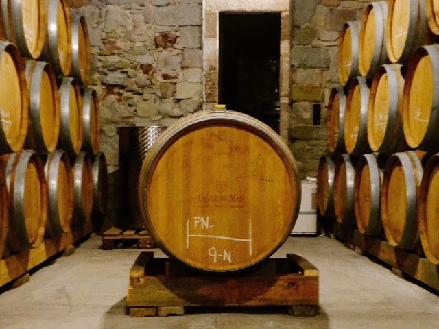 Oller Del Mar Winery Barcelona Spain