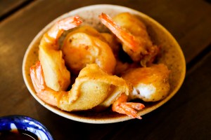 Best places to eat in Battambang Cambodia, Lonely Tree Cafe