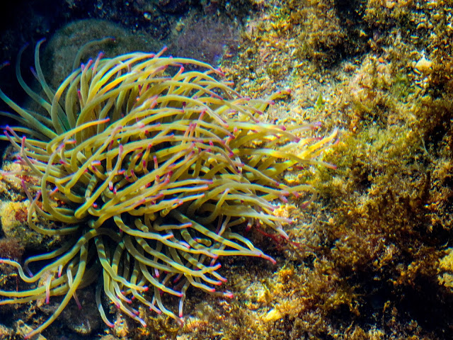 Where to Hike on the Costa Brava Spain