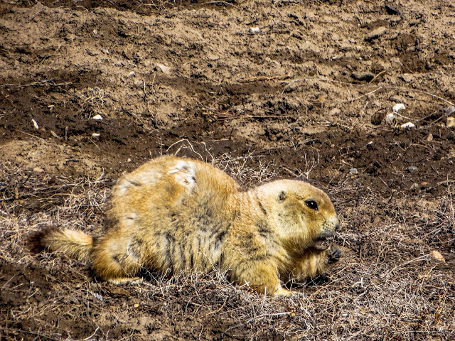 Road Trip Through The Badlands National Park