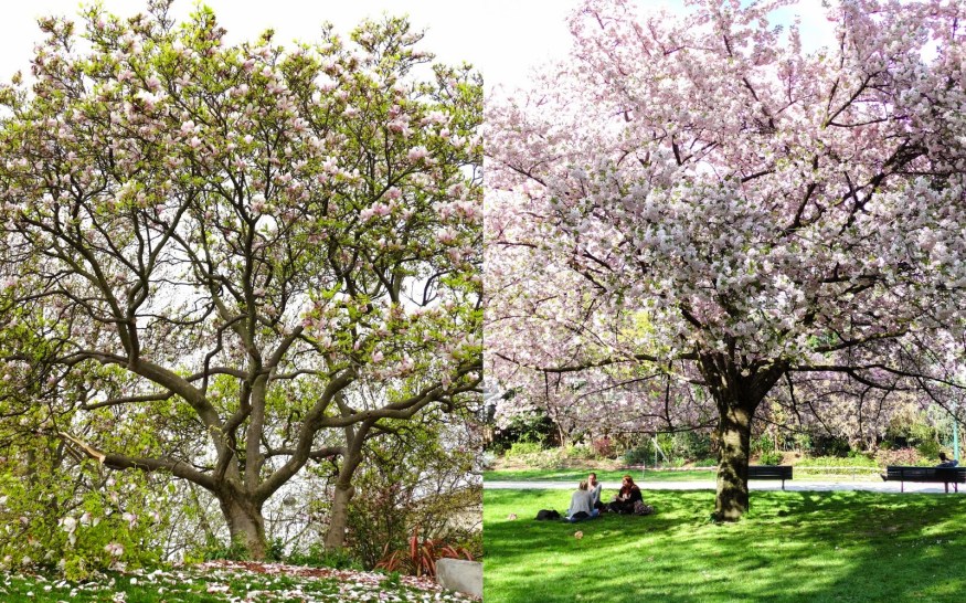 Best Places to visit in Paris, Paris in the spring