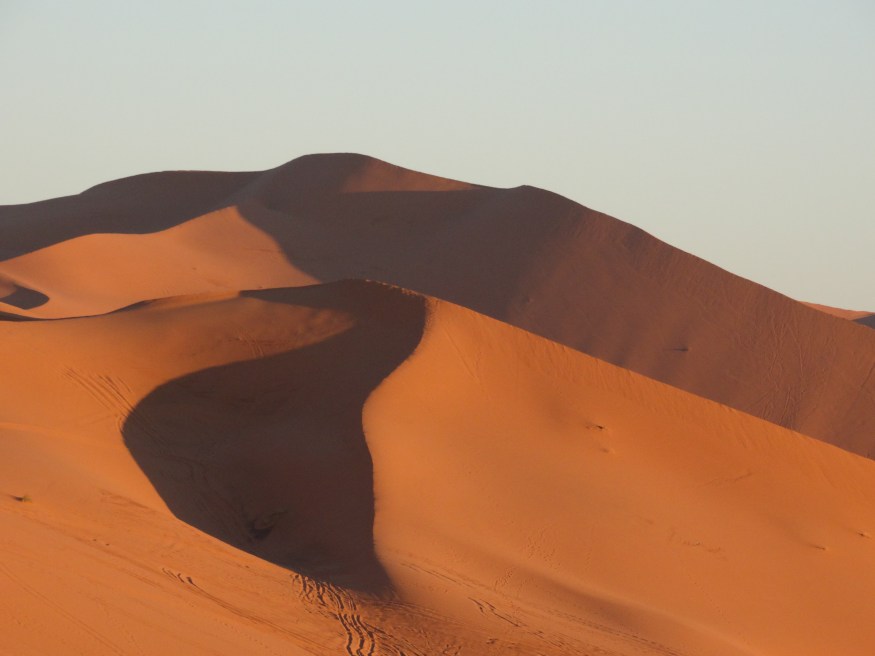 Visiting the Sahara Dessert, Camping in the Sahara, Sahara desert dunes, Sahara desert blog