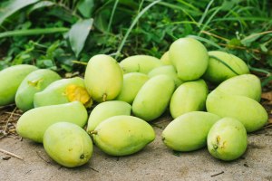 Cambodia lifestyle blog