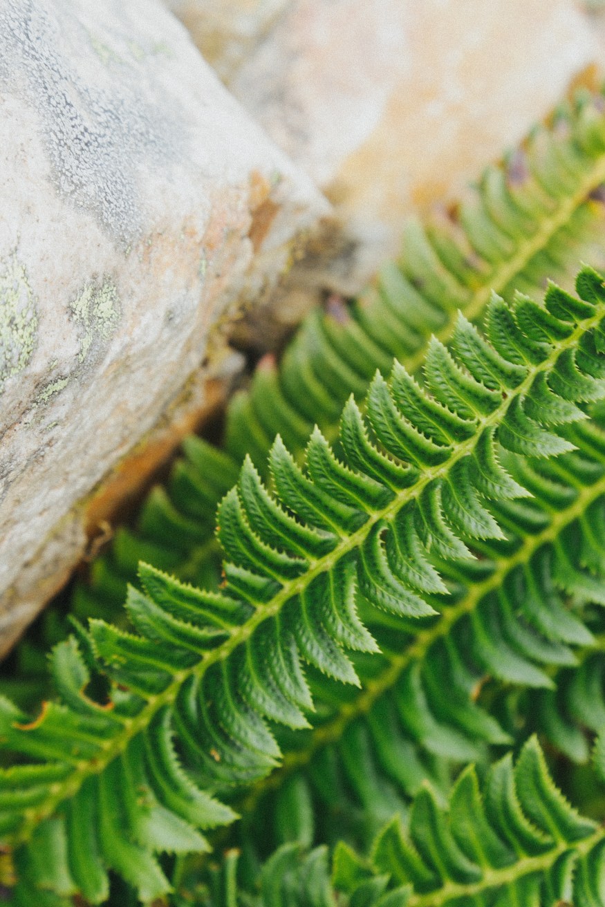 Eiffel Lake Trail Banff National Park Blog