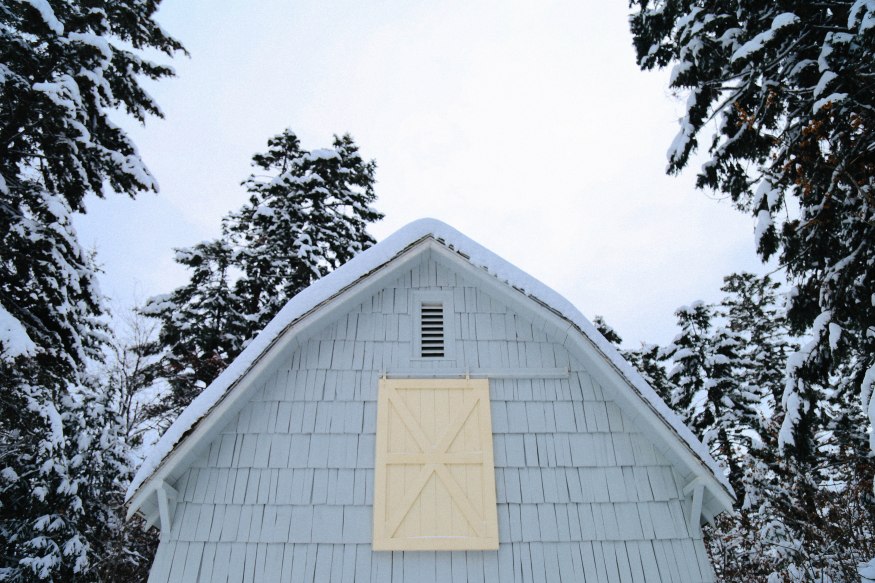 Montana Winter Photography Blog