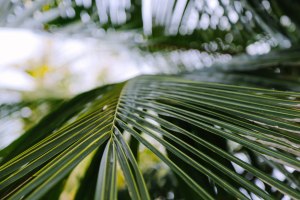 Phu Quoc Vietnam Travel Blog