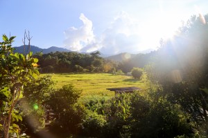 Anna Farm and Eatery Chiang Mai Thailand