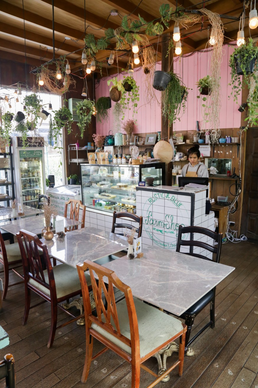 Rustic and Blue Chiang Mai Thailand Blog