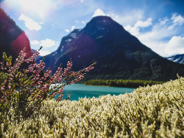 Lake Lovatnet Noway Photography Blog