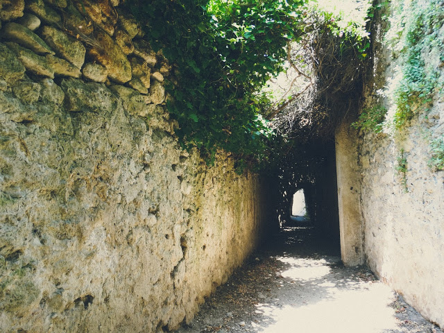 Provence France Lavender Blog