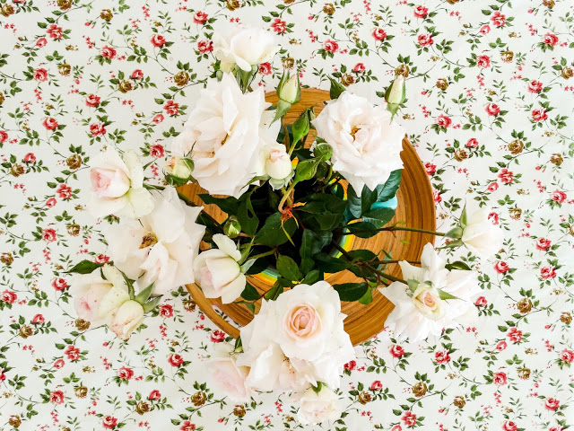 Algarve Portugal Travel Blog