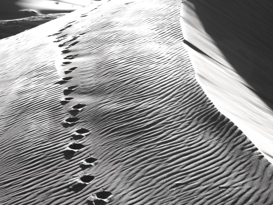 Visiting the Sahara Dessert, Camping in the Sahara, Sahara desert dunes, Sahara desert blog