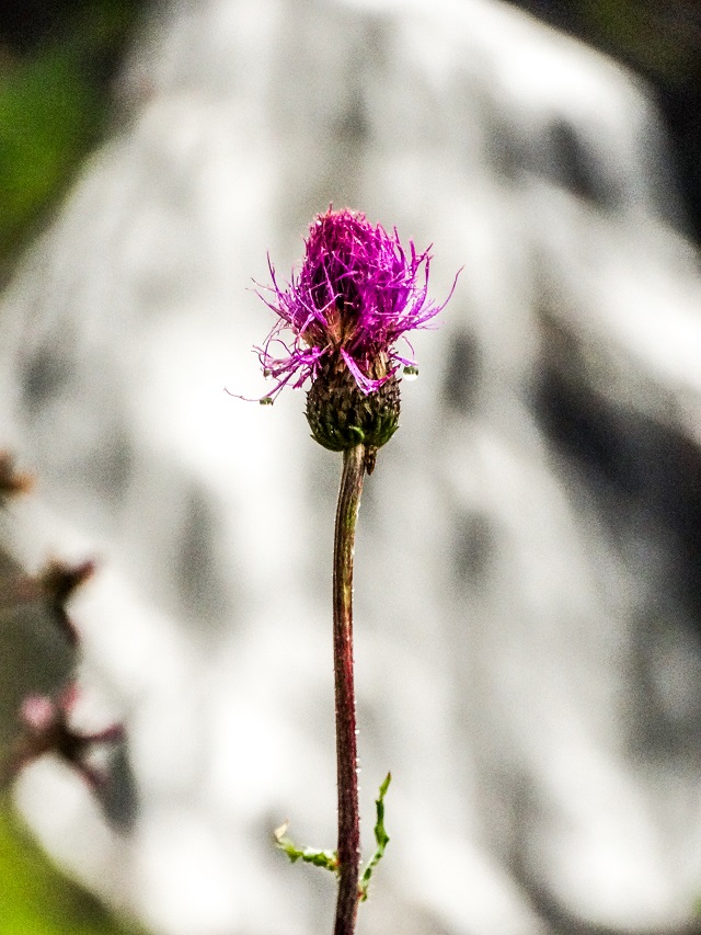 Geiranger Norway travel photography blog