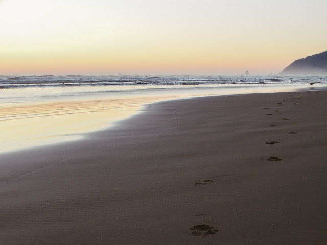 Camping at Cannon Beach Oregon Blog