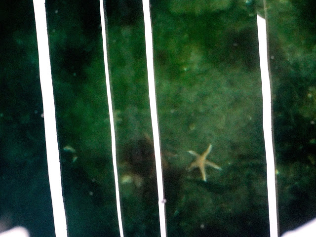 Geiranger Norway travel photography blog