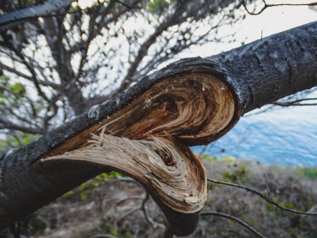 Where to Hike on the Costa Brava Spain