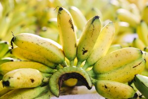 Life in Battambang Cambodia Blog