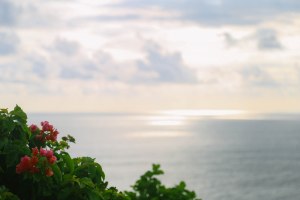 Uluwatu Temple Bali Blog