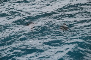 Nusa Penida Bali Travel Blog