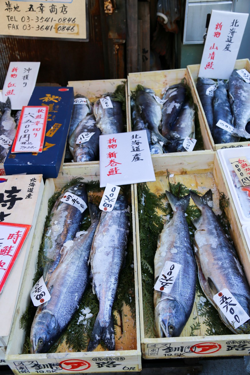 A "Non Touristy" Layover in Tokyo, Japan