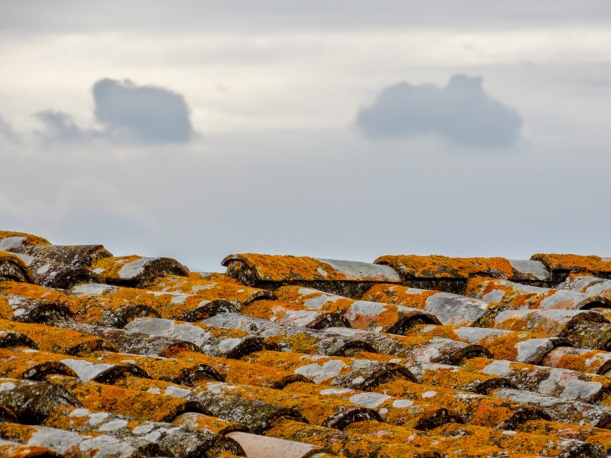 Pals Spain, Peratallada Spain, Barcelona Day Trips, Barcelona day trips blog, Clay tile roof, Spanish Roof