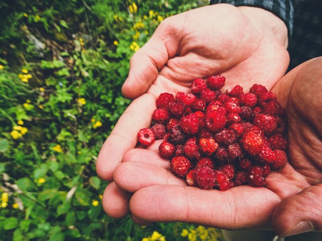 Kjeasen Mountain Farm